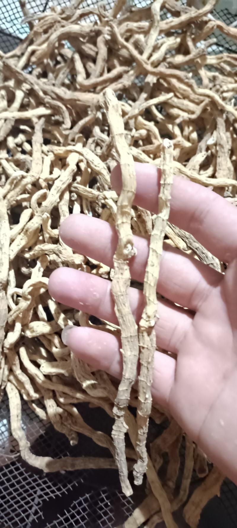 无硫湘玉竹片，煲汤泡茶，有野生玉竹