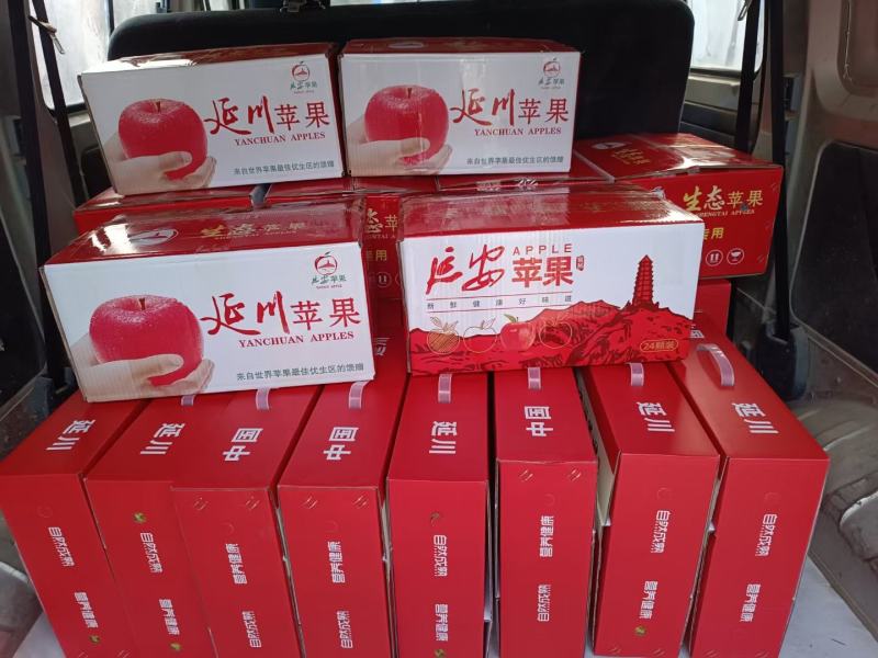 延安红富士，山地苹果