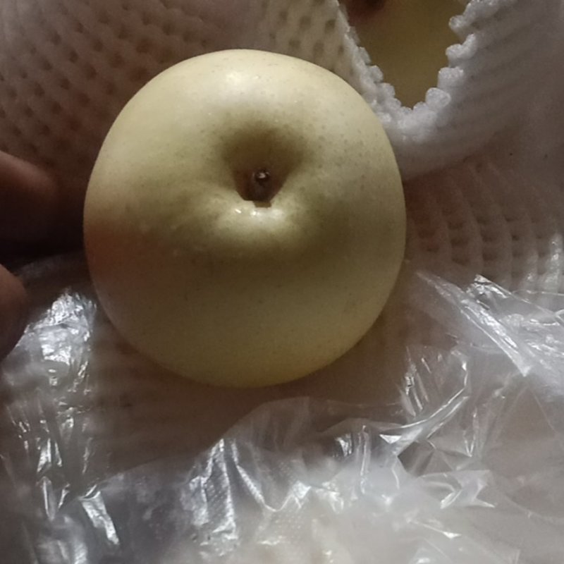 【河北精品皇冠梨】大量供应，货源足个头大，口感甜，价格优