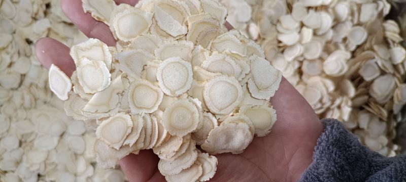 西洋参大片无硫中药材西洋参含片花旗参片可磨粉500克