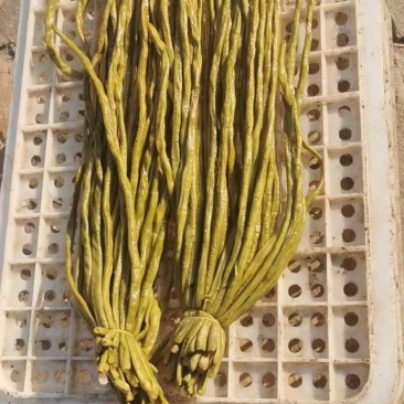 豆角，酸豆角，腌制豆角，各种腌制半成品，