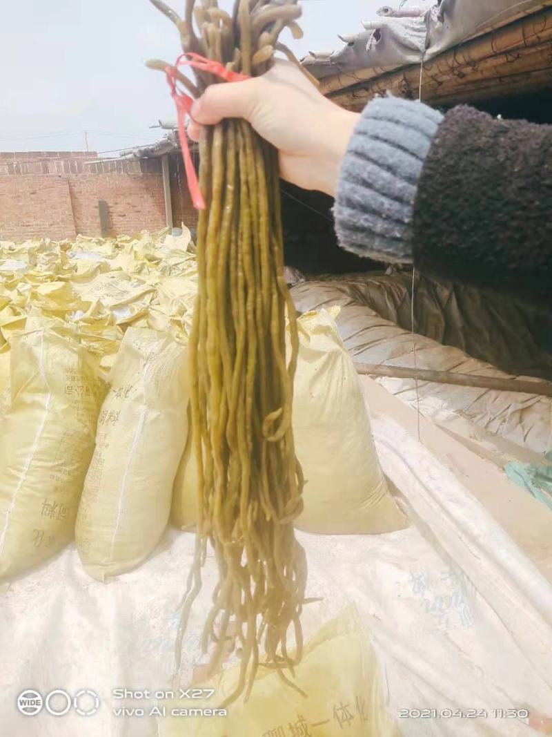 豆角，酸豆角，腌制豆角，各种腌制半成品，