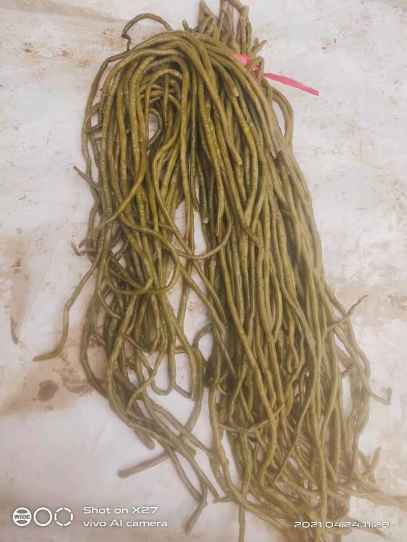 豆角，酸豆角，腌制豆角，各种腌制半成品，