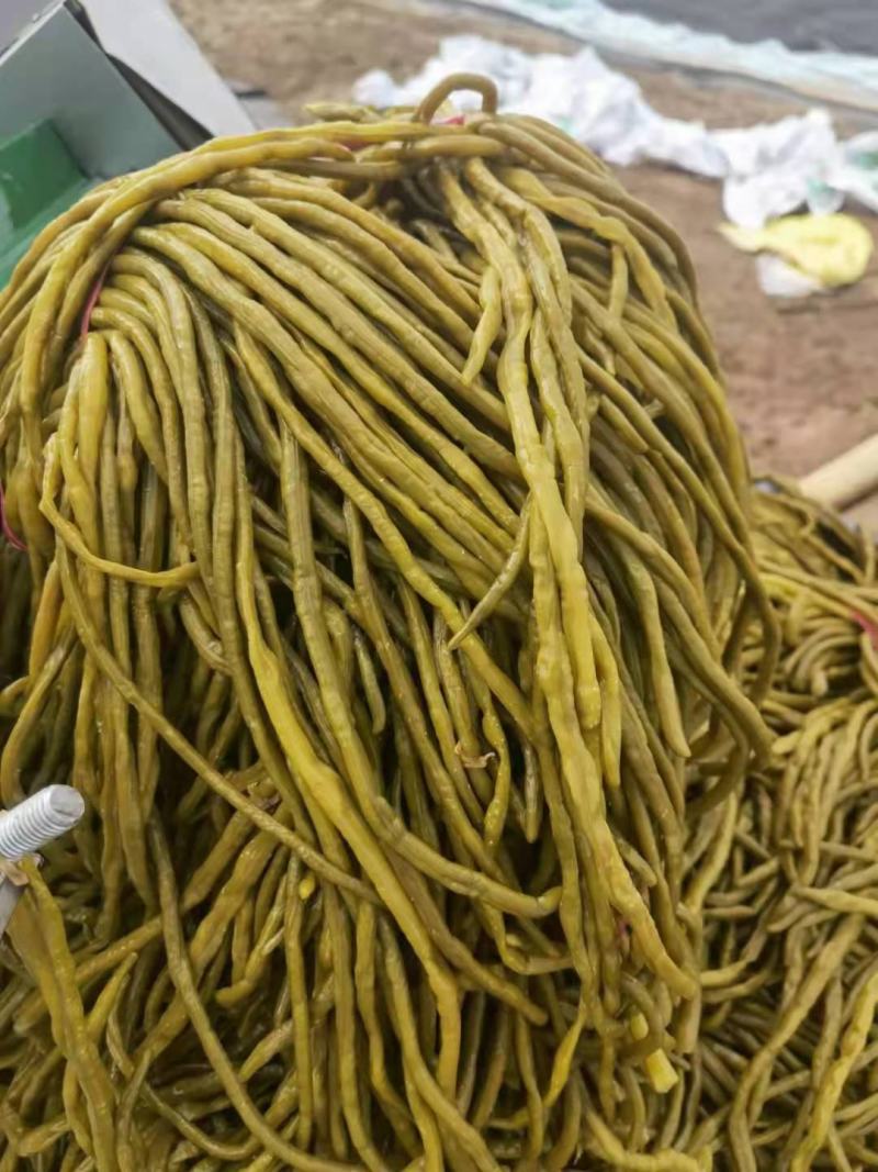 豆角，酸豆角，腌制豆角，各种腌制半成品，