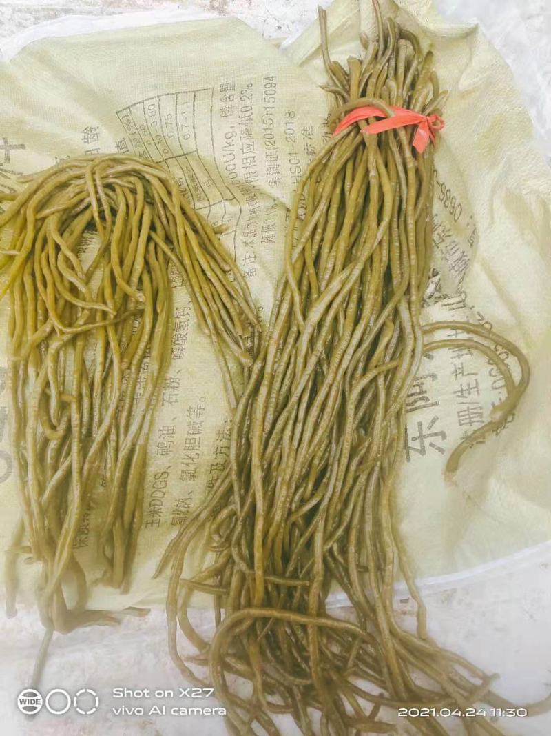 豆角，酸豆角，腌制豆角，各种腌制半成品，