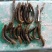豆角，酸豆角，腌制豆角，各种腌制半成品，
