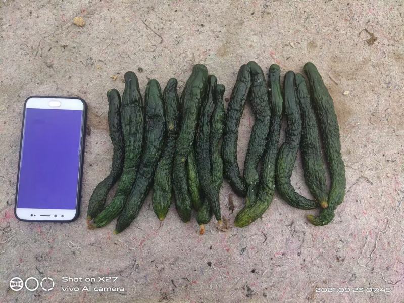 豆角，酸豆角，腌制豆角，各种腌制半成品，