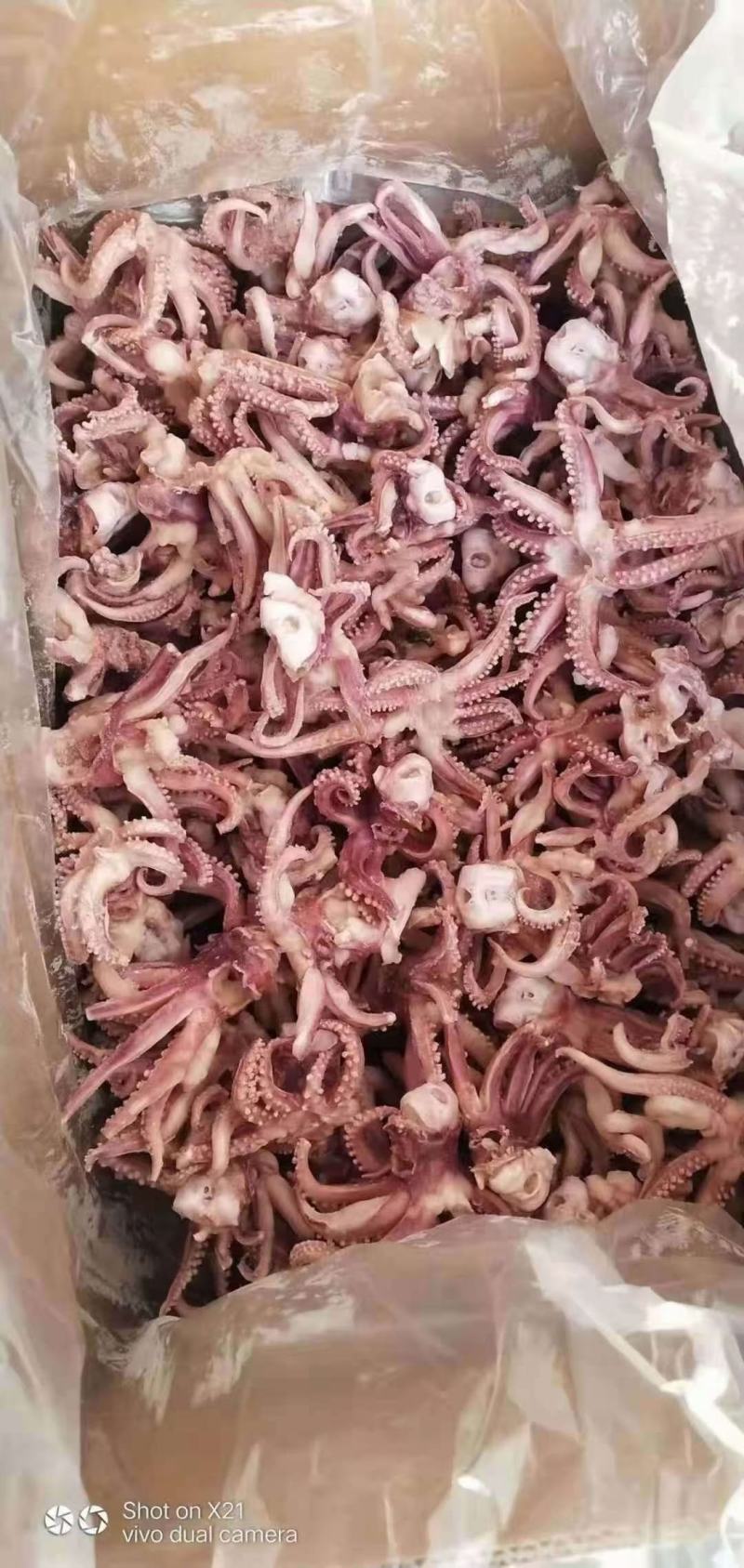 深海小八爪一箱5斤脆口八爪章鱼小八爪