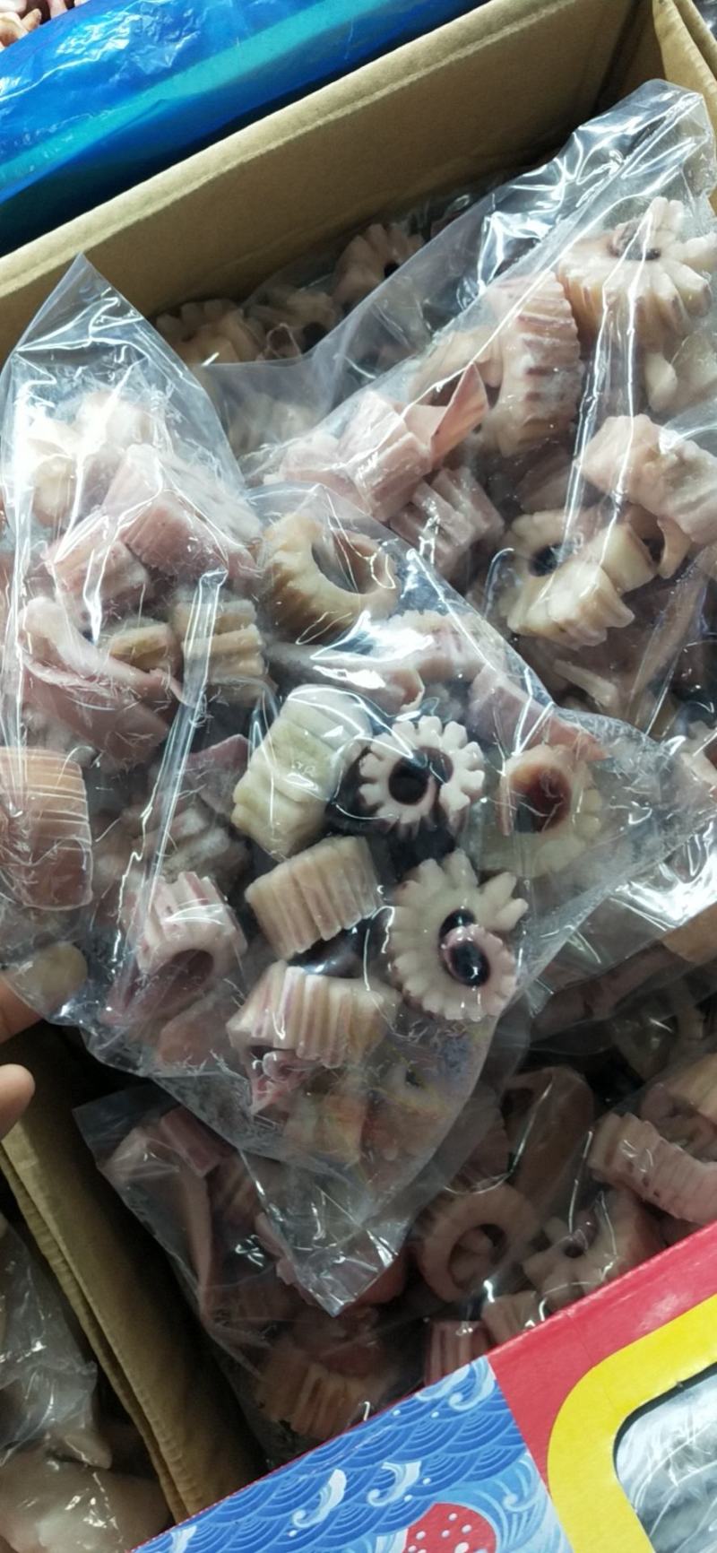 深海小八爪一箱5斤脆口八爪章鱼小八爪