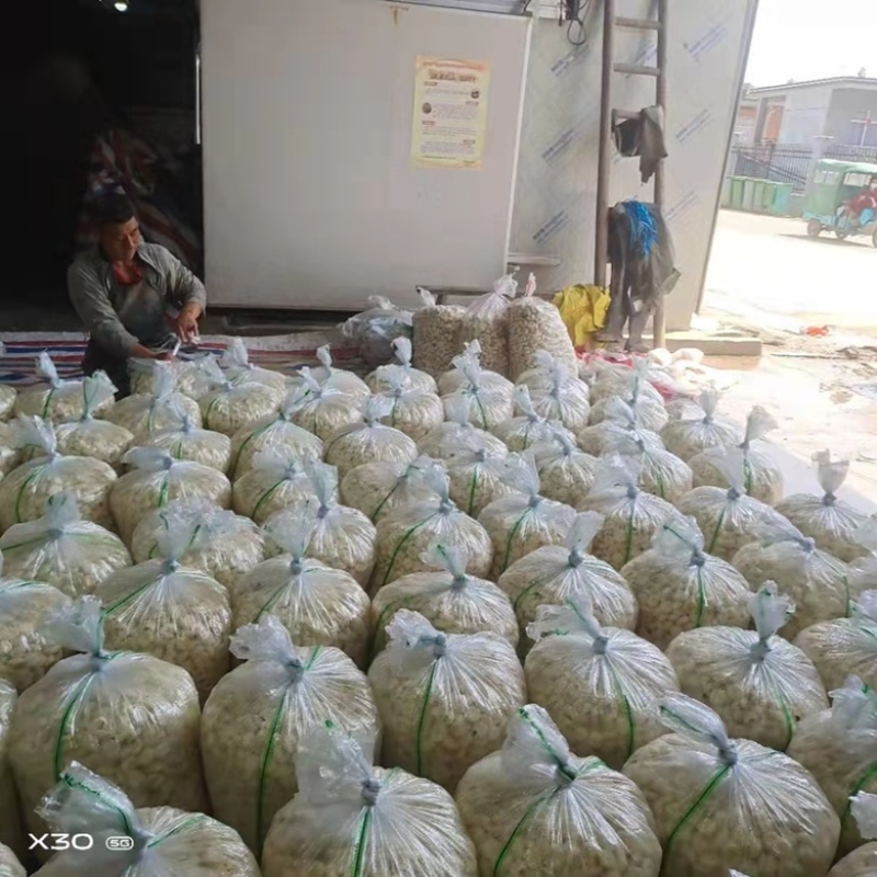 安徽荸荠马蹄大量批发，个头大，口感脆甜爽口，价格实惠！