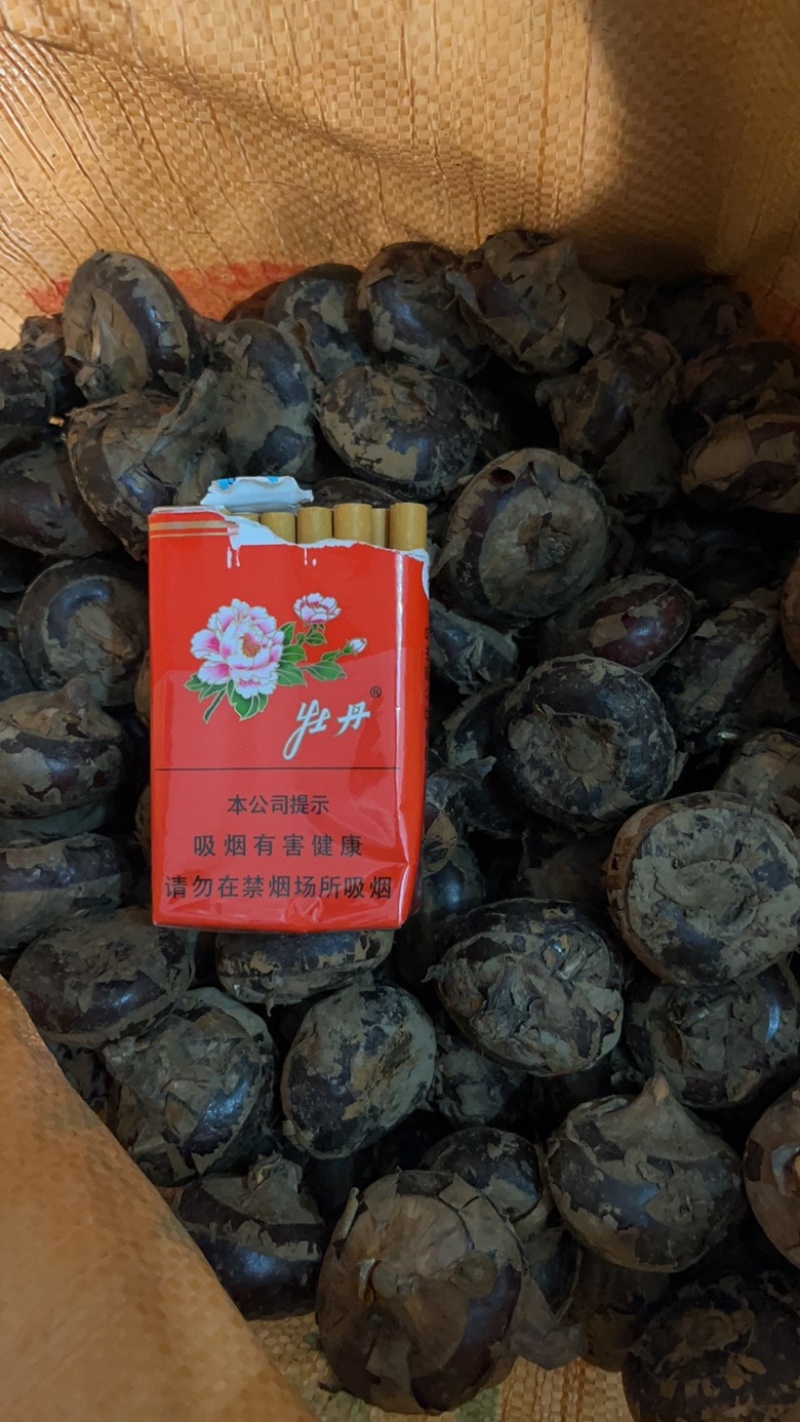 安徽荸荠马蹄大量批发，个头大，口感脆甜爽口，价格实惠！
