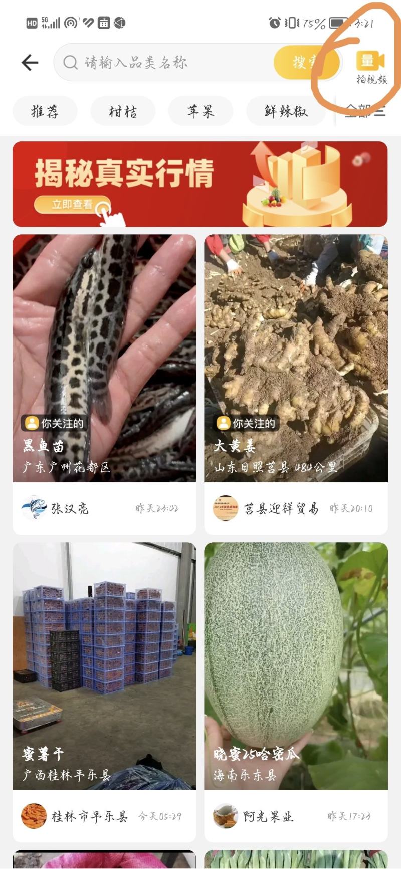 黄心菜又称乌塌菜