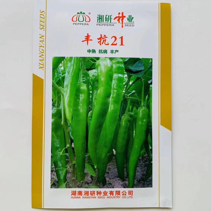 丰抗21辣椒种子中熟抗病高产果实长牛角型辣椒种