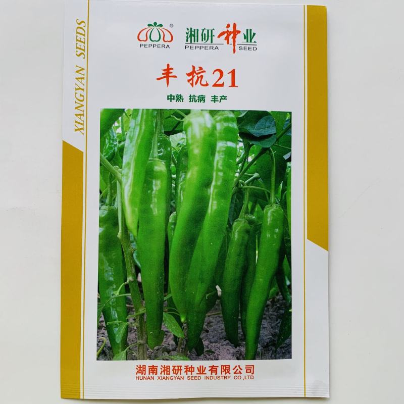 丰抗21辣椒种子中熟抗病高产果实长牛角型辣椒种