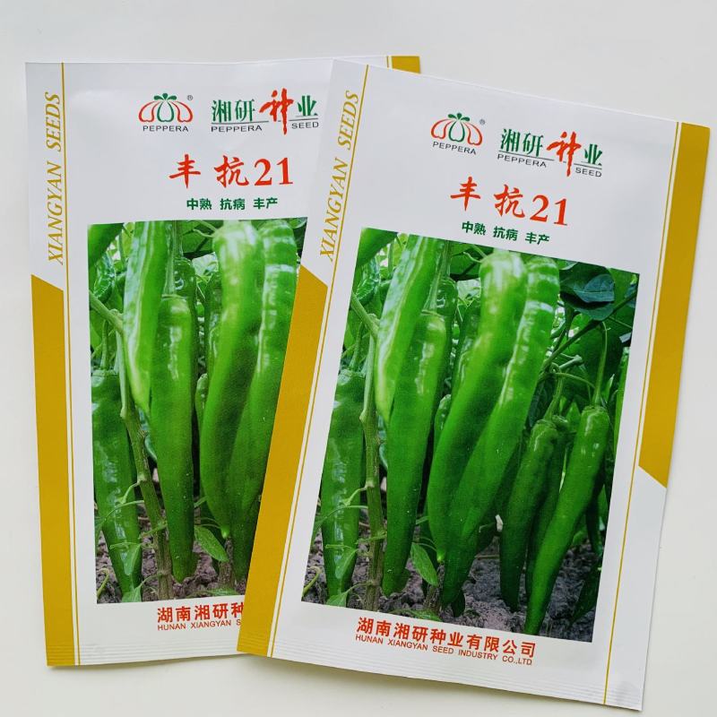 丰抗21辣椒种子中熟抗病高产果实长牛角型辣椒种