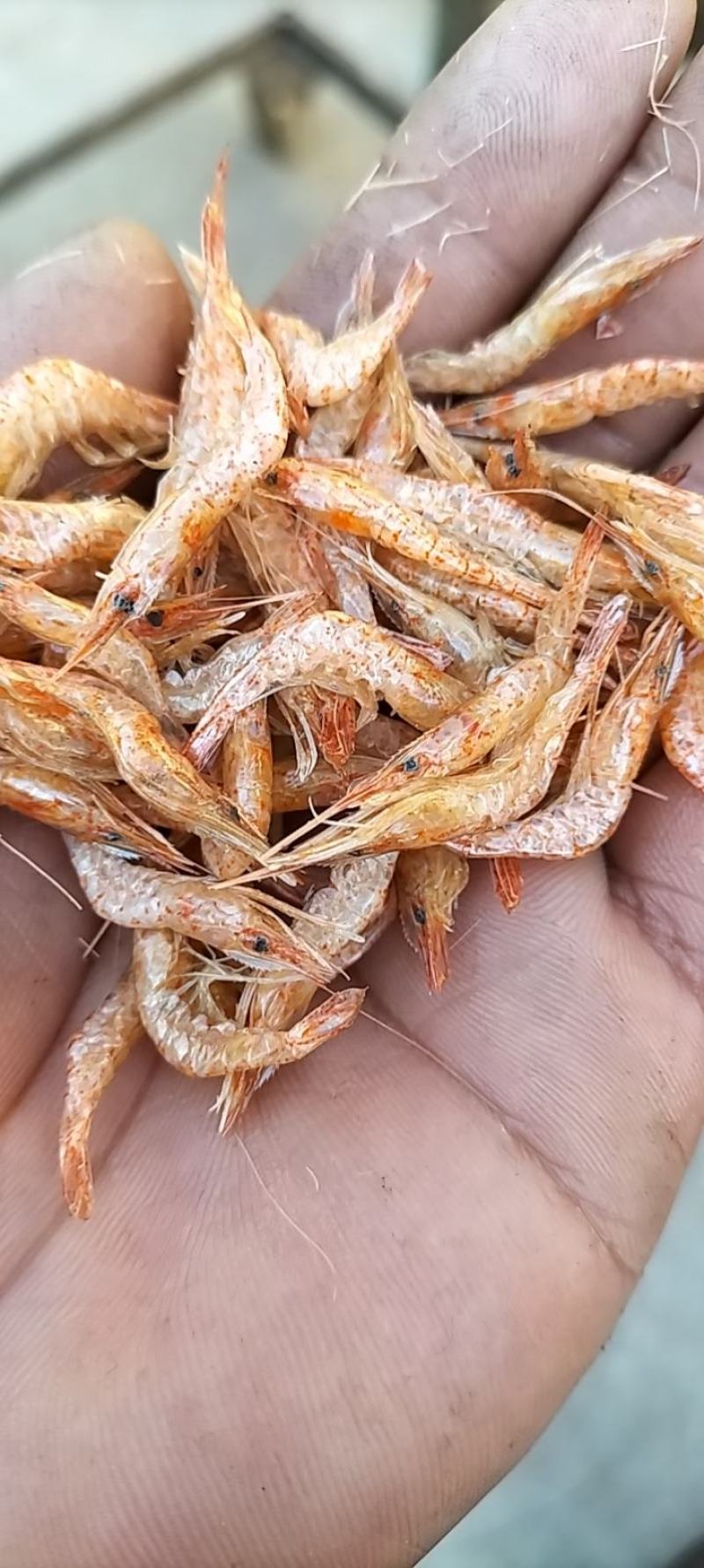 河虾干