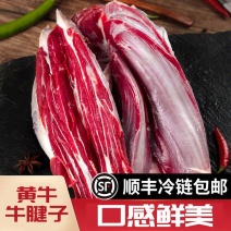 【原切牛腱】批发新鲜牛腱子5斤牛肉食材正宗新鲜黄牛肉