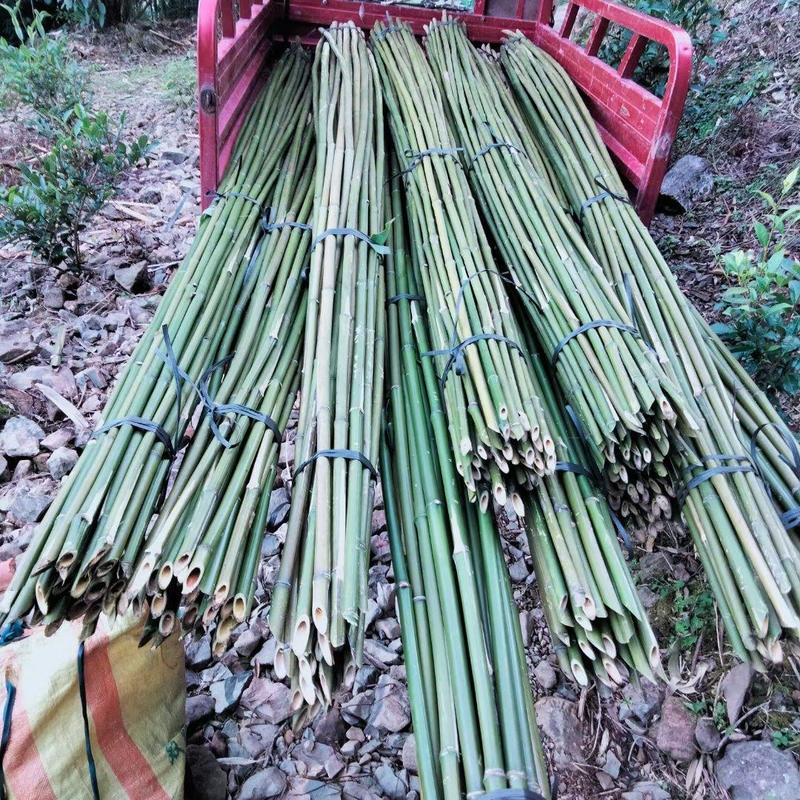 大量金竹，菜架竹，辣椒竹，香蕉竹，果撑等……