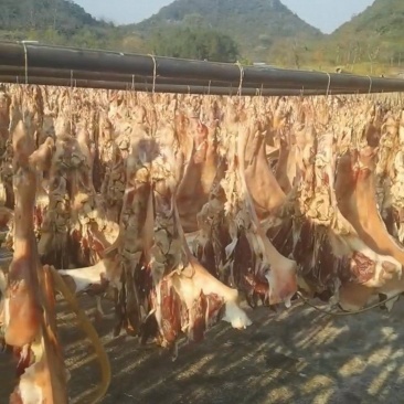连州东陂腊猪脚