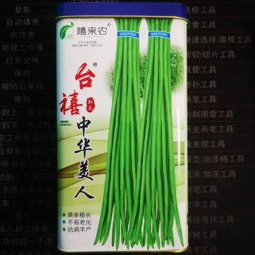 台禧中华美人翠绿豇豆种子农户种植户大面积种植长豆角种子