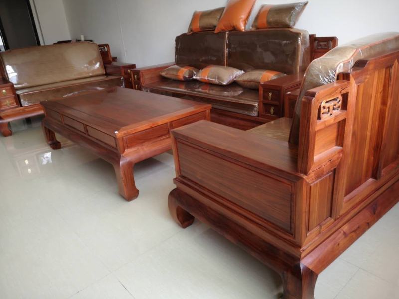 黑木相思，造林苗，复绿苗，可做红木家具！！！