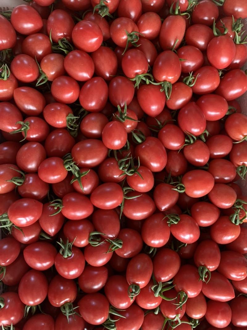 千禧小西红柿，樱桃西红柿，大量上市，自然成熟，产地直供