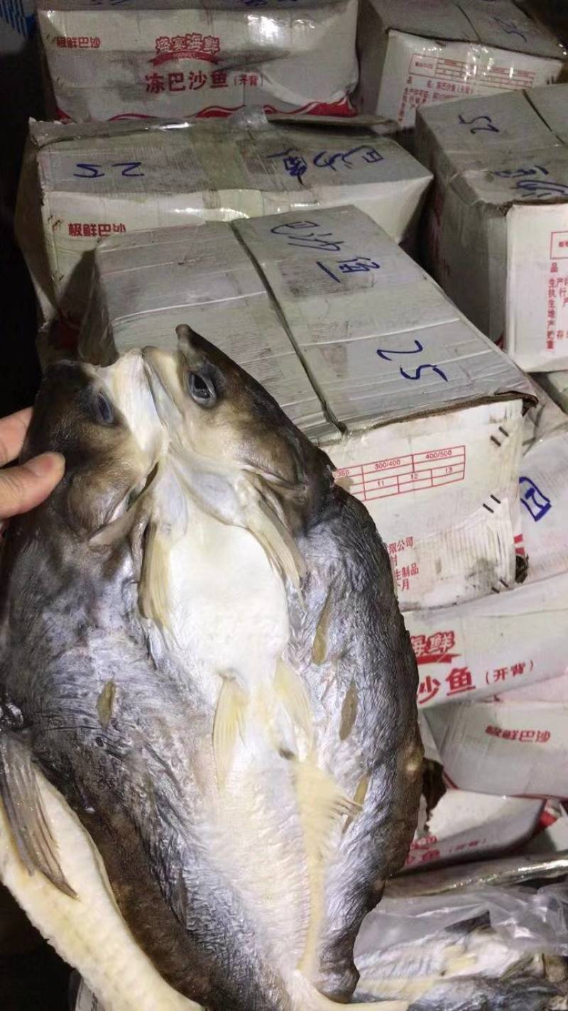 巴沙鱼干开背巴沙鱼干烤鱼巴沙鱼八成干