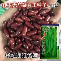 台禧红玉泰国无筋架豆王种子豆角种子农户种植户农家庭院种植