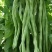 台禧红玉泰国无筋架豆王种子豆角种子农户种植户农家庭院种植