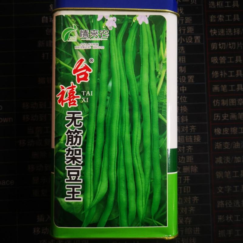 台禧红玉泰国无筋架豆王种子豆角种子农户种植户农家庭院种植
