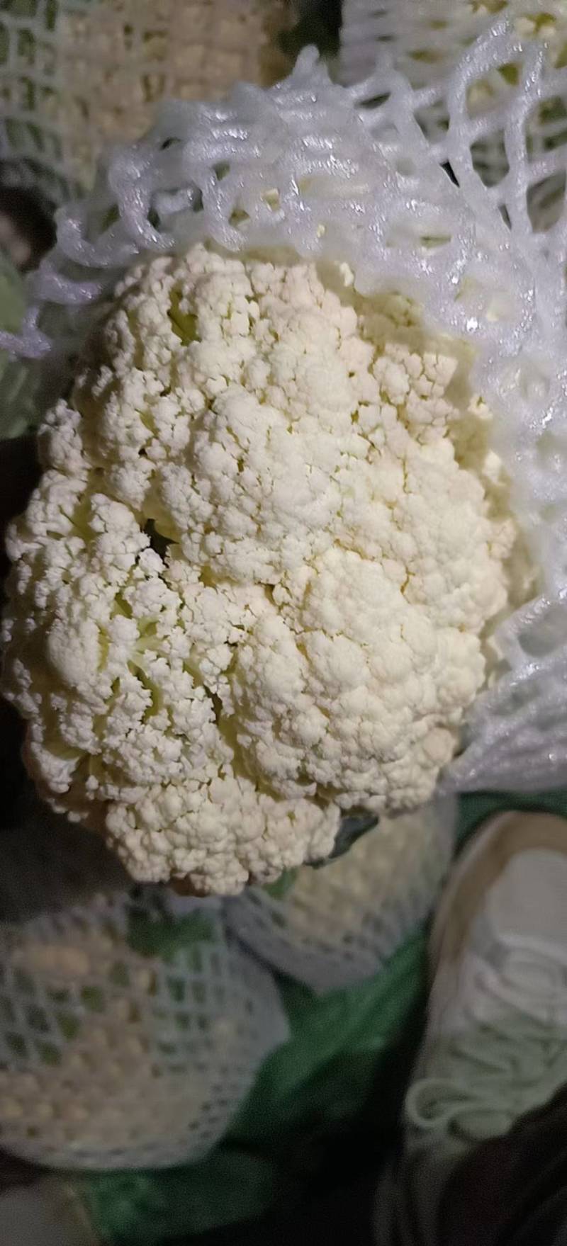云南精品小米松花基地大规模现货，每天大量出货