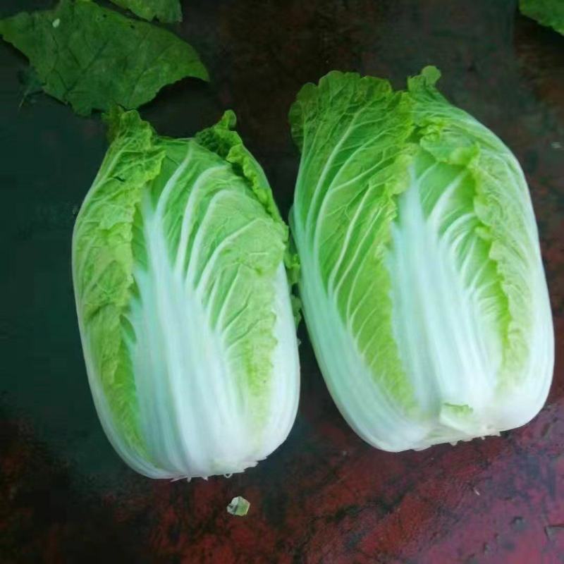 精品黄心白菜，大量上市，一手货源，产地直发，