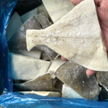 单冻三去鲽鱼块，价格不高，食堂用