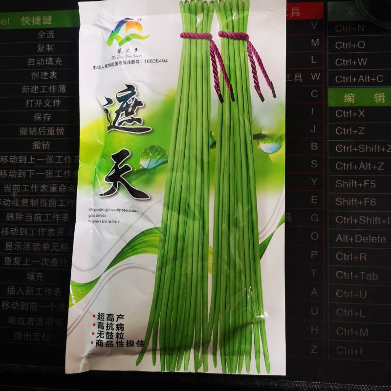 遮天长豆角种子翠绿色长豇豆种子农户种植户大田种植农家庭院