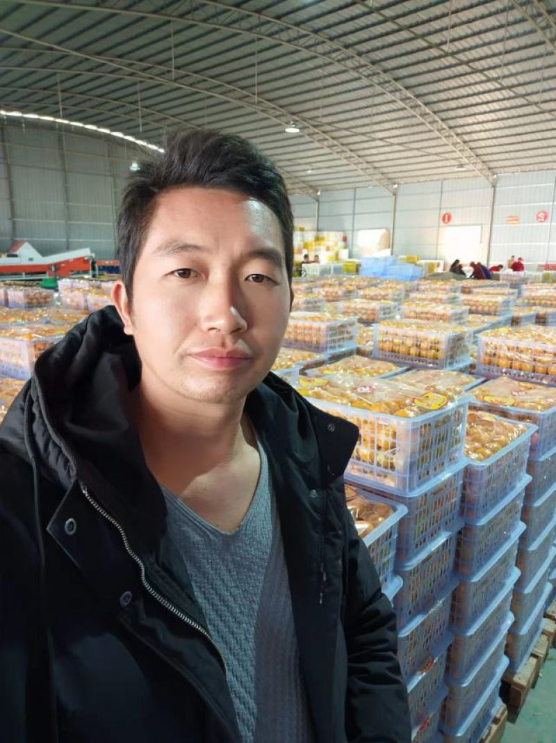【精选优选】广东皇帝柑贡柑过机精选精品打腊果大量供应