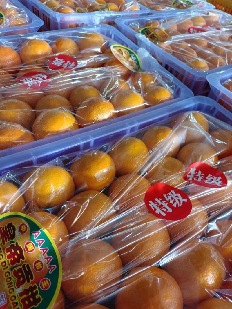 【精选优选】广东皇帝柑贡柑过机精选精品打腊果大量供应