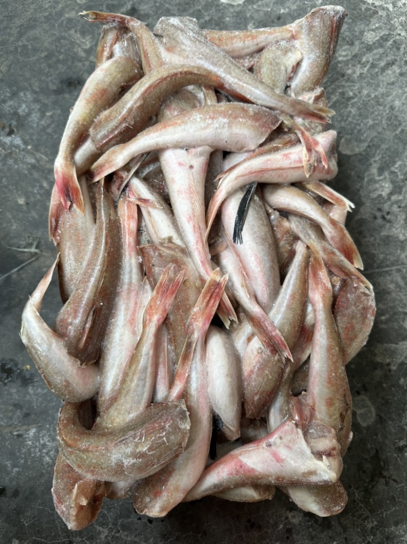 去头红头鱼，单条60克左右