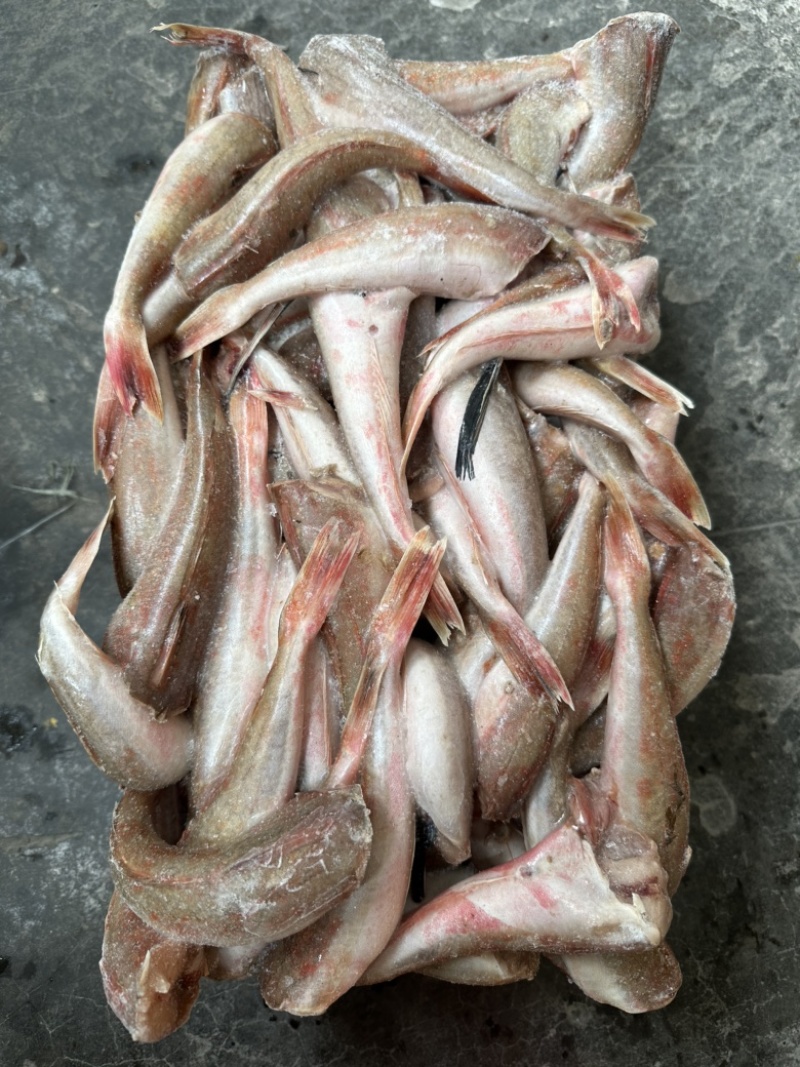 去头红头鱼，单条60克左右