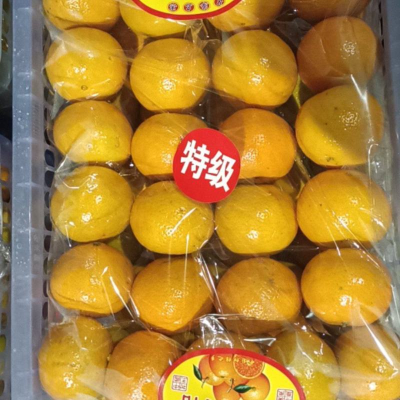 【精选优选】广东皇帝柑贡柑过机精选精品打腊果大量供应