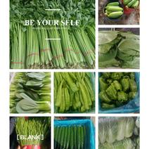 蔬菜礼包蔬菜套装山东蔬菜原产地精品货源全国