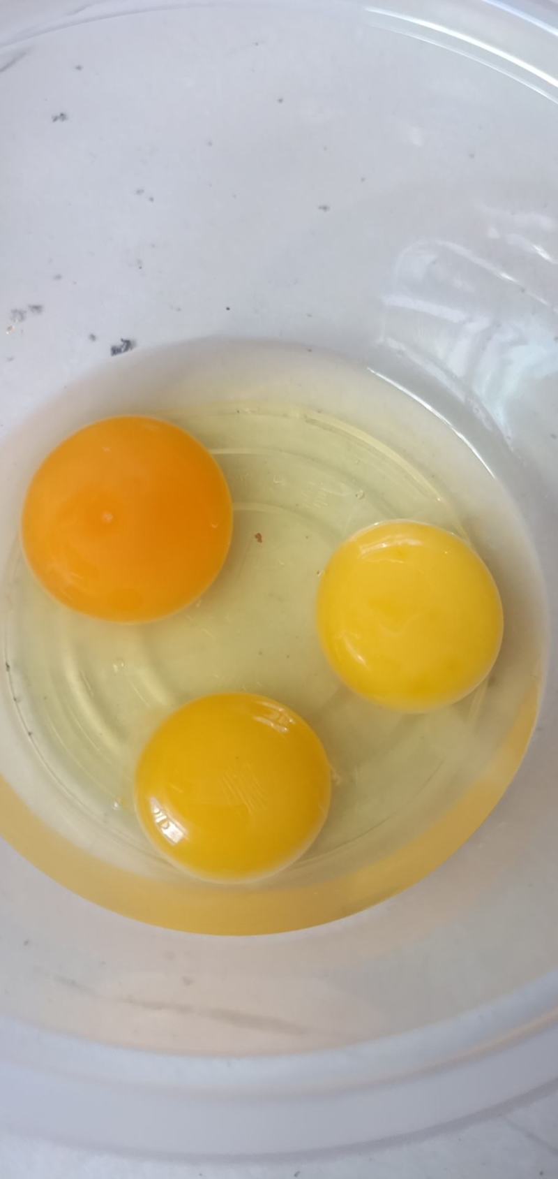 长期出售蛋液，有需要的联系，可以签合同