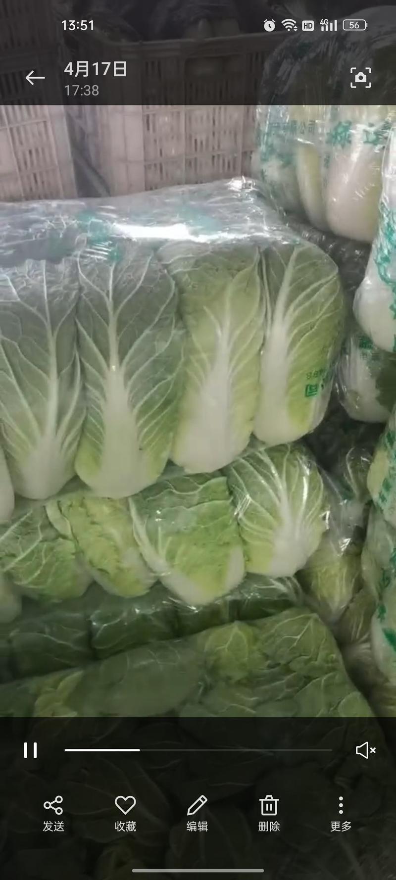 蔬菜礼包蔬菜套装山东蔬菜原产地精品货源代发全国