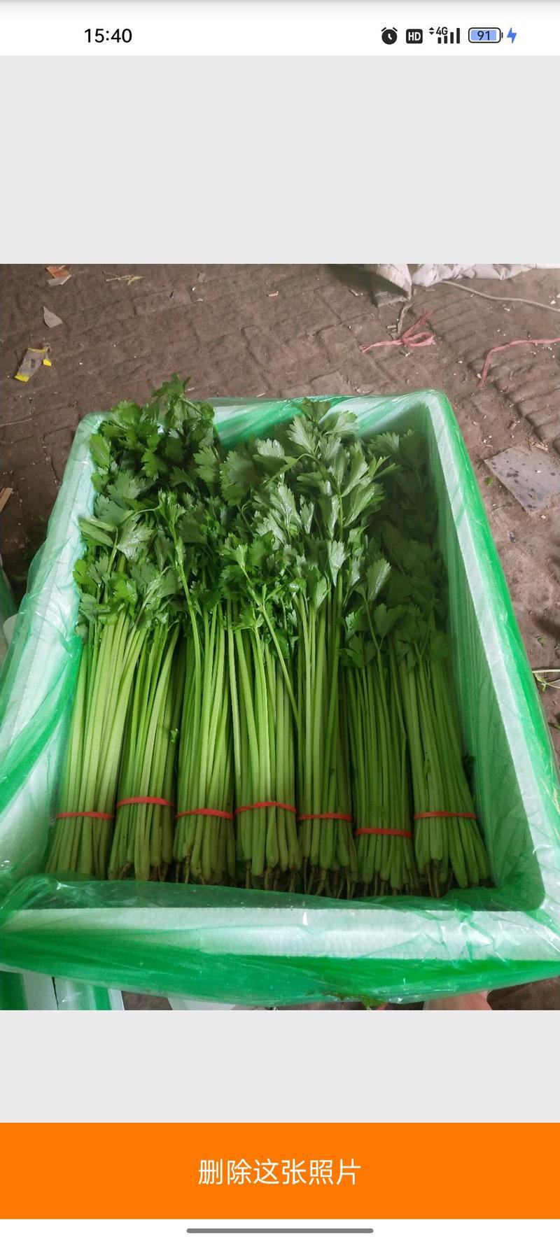 蔬菜礼包蔬菜套装山东蔬菜原产地精品货源代发全国