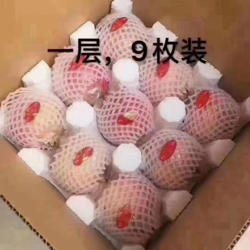 西安临潼骊山脚下石榴园