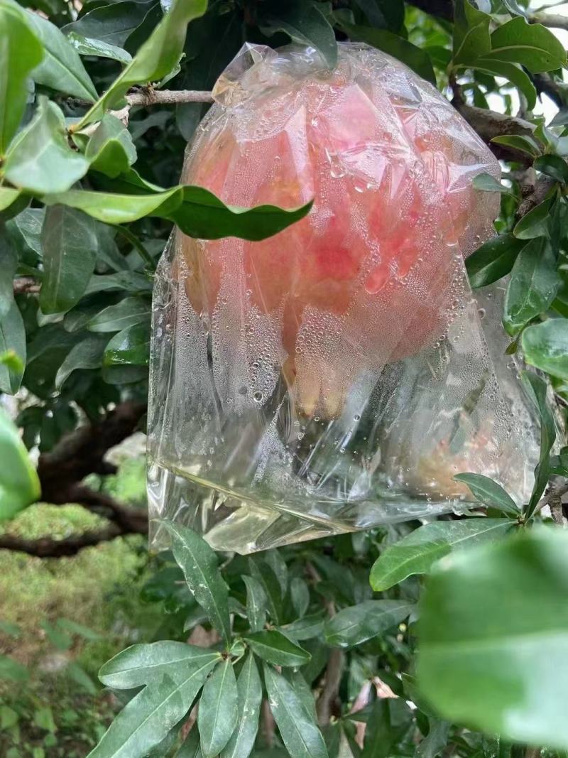 西安临潼骊山脚下石榴园