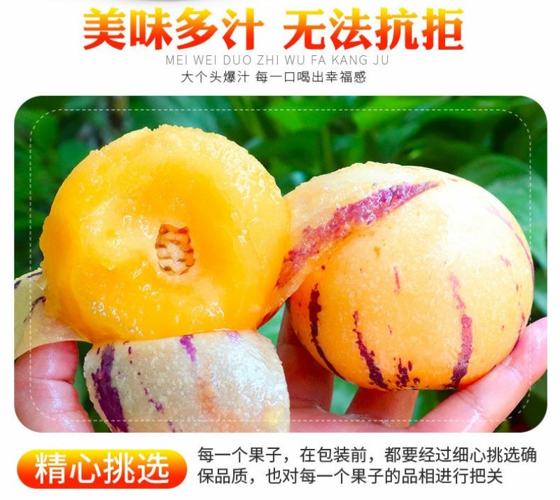 云南石林人参果新鲜应季水果黄肉人参果孕妇小孩水果包邮