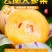 云南石林人参果新鲜应季水果黄肉人参果孕妇小孩水果包邮