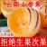 云南石林人参果新鲜应季水果黄肉人参果孕妇小孩水果包邮