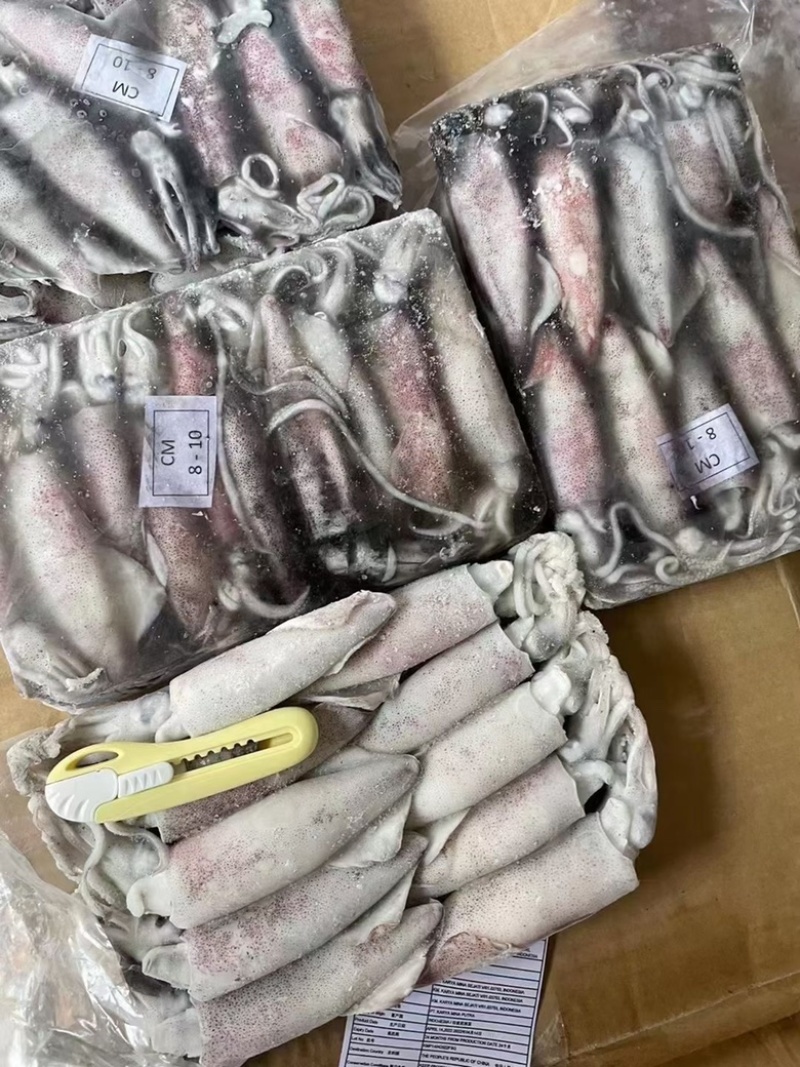 小鱿鱼