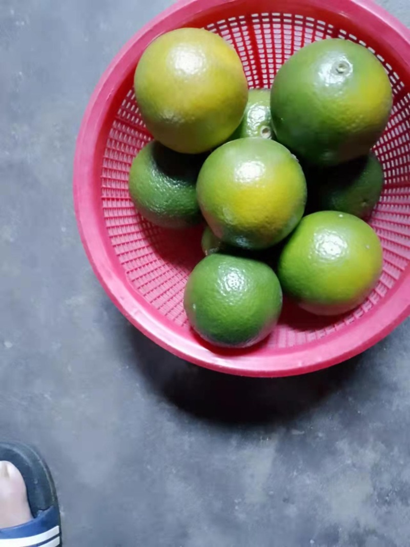皇帝柑，大量出电商，市场，平台一条龙服务。